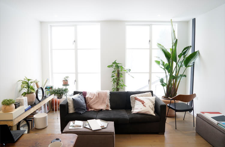 7 Mistakes People Make With Indoor Plants — The Houseplant & Urban Jungle  Blog