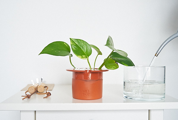 A Truly Self-Watering Plant Pot — The Houseplant & Urban Jungle Blog