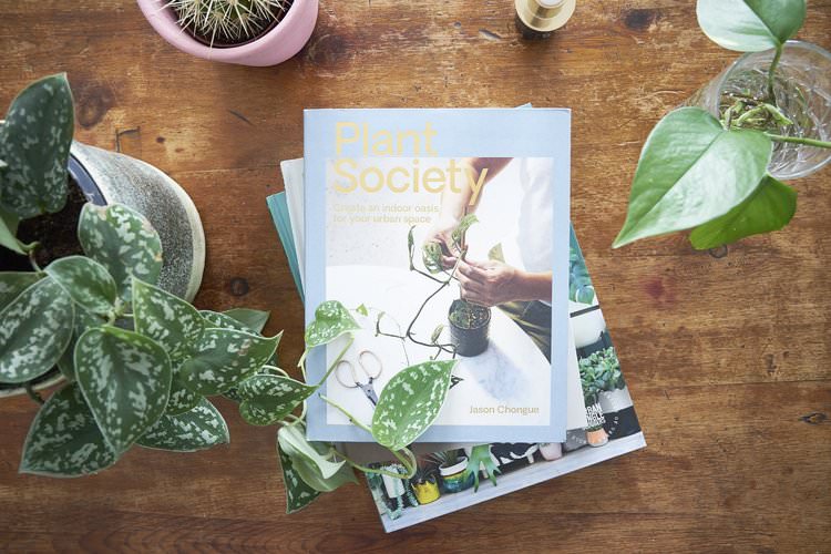 Best Books For Houseplant Lovers The Houseplant Urban Jungle Blog