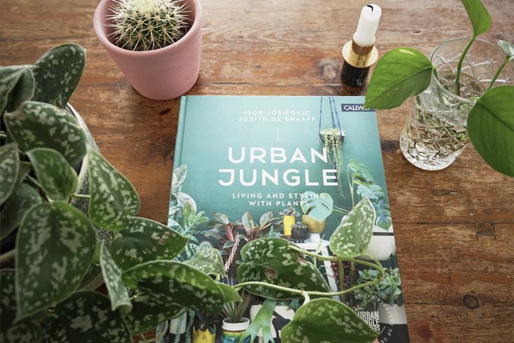 Urban Jungle by Judith De Graaff and Igor Josifovic, 2016. Photo: InvincibleHousePlants.com