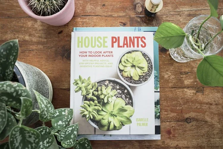 Best Books For Houseplant Lovers The Houseplant Urban Jungle Blog