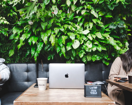 Indoor green wall in a Brooklyn coffee shop, NY. Photo by Emmanuel Kontokalos