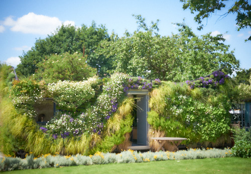 why-living-walls-blossoming-worlwide-biophilia.jpg