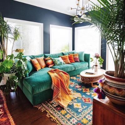 30 Plant Instagram Accounts For Decor Inspiration In 2019