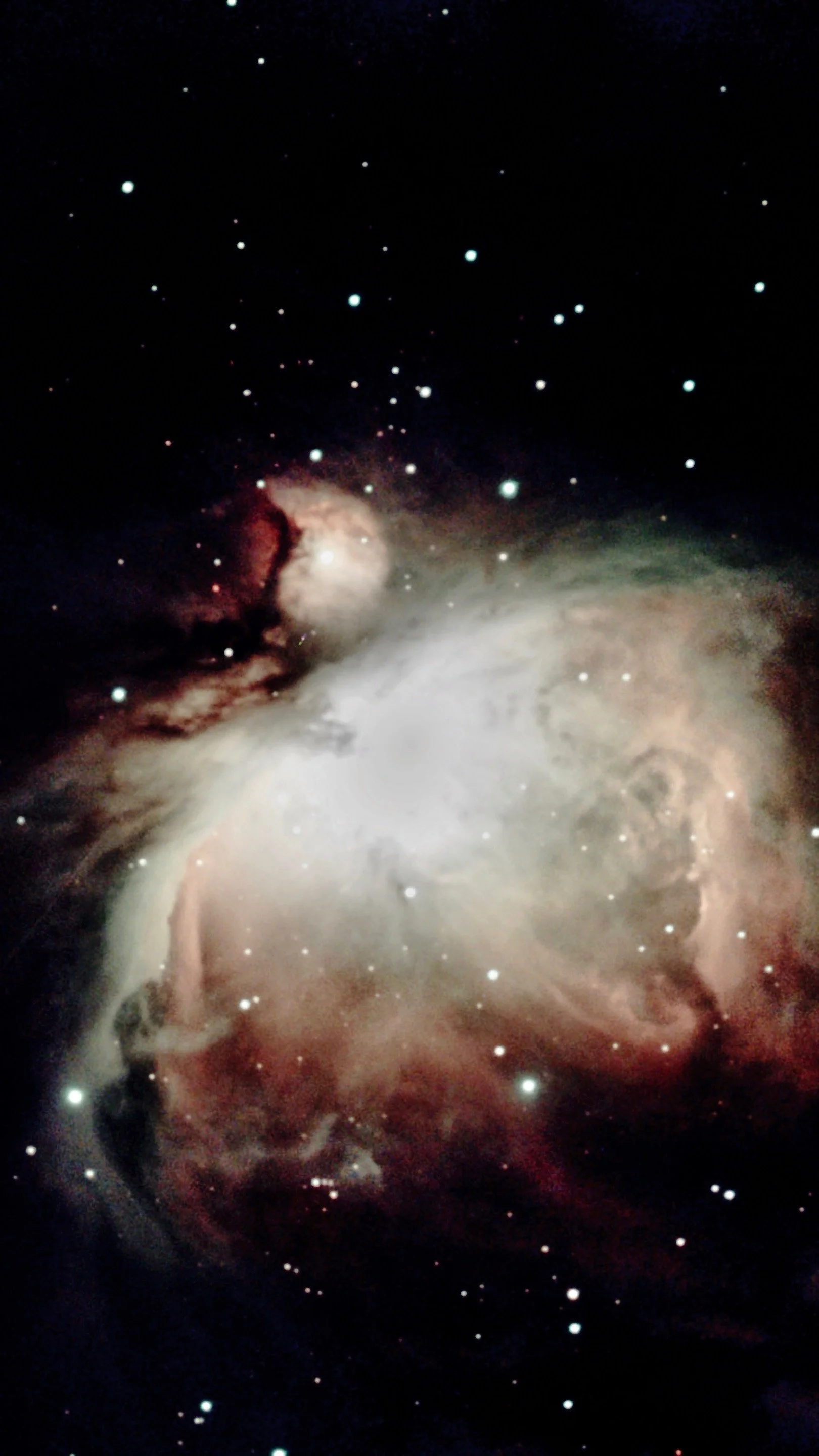 F1A501B2-CE3A-4BEA-B1A1-D245376CDDA8 2.jpeg