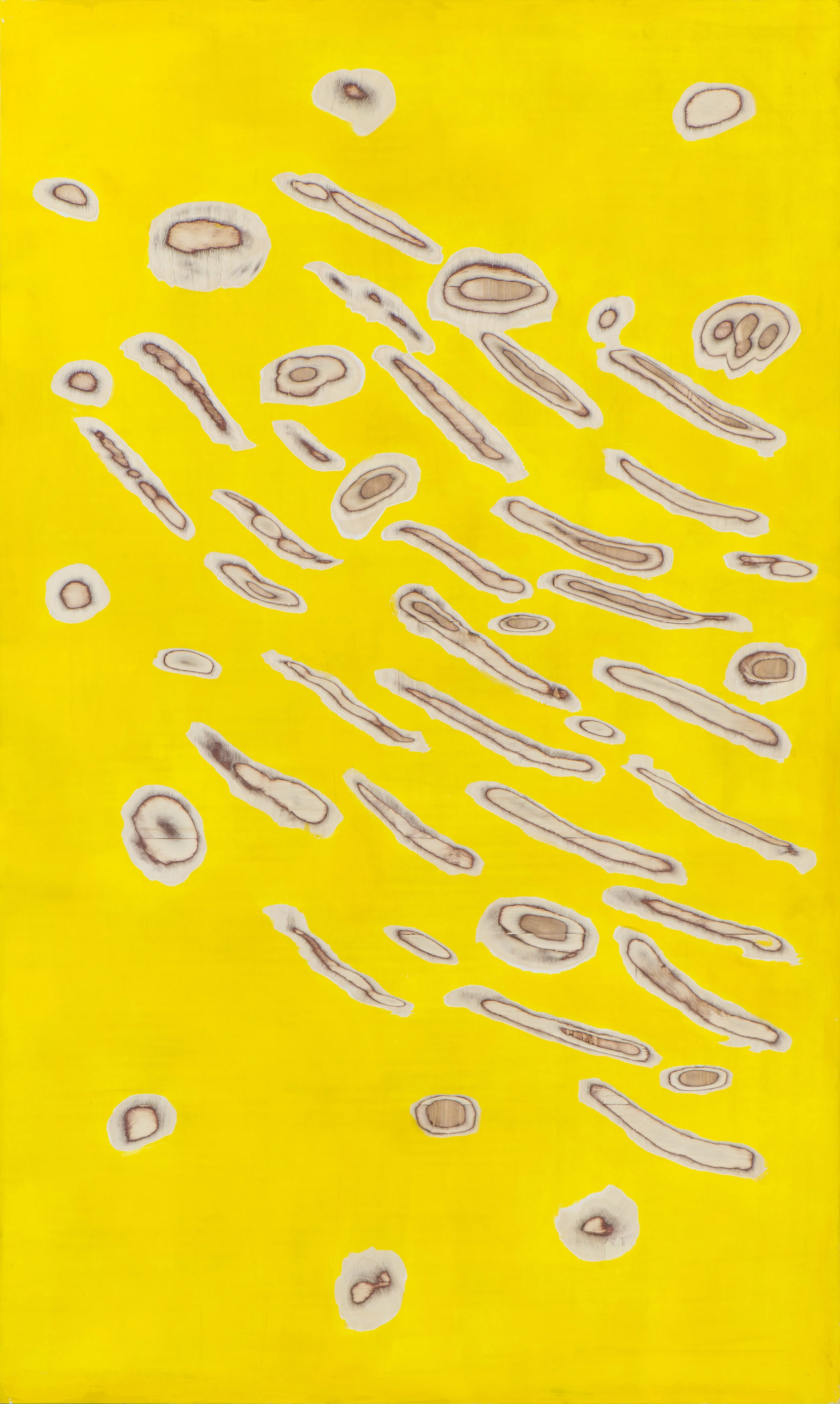  Kaspars Zarins, “Symptoms. D“, 2015 