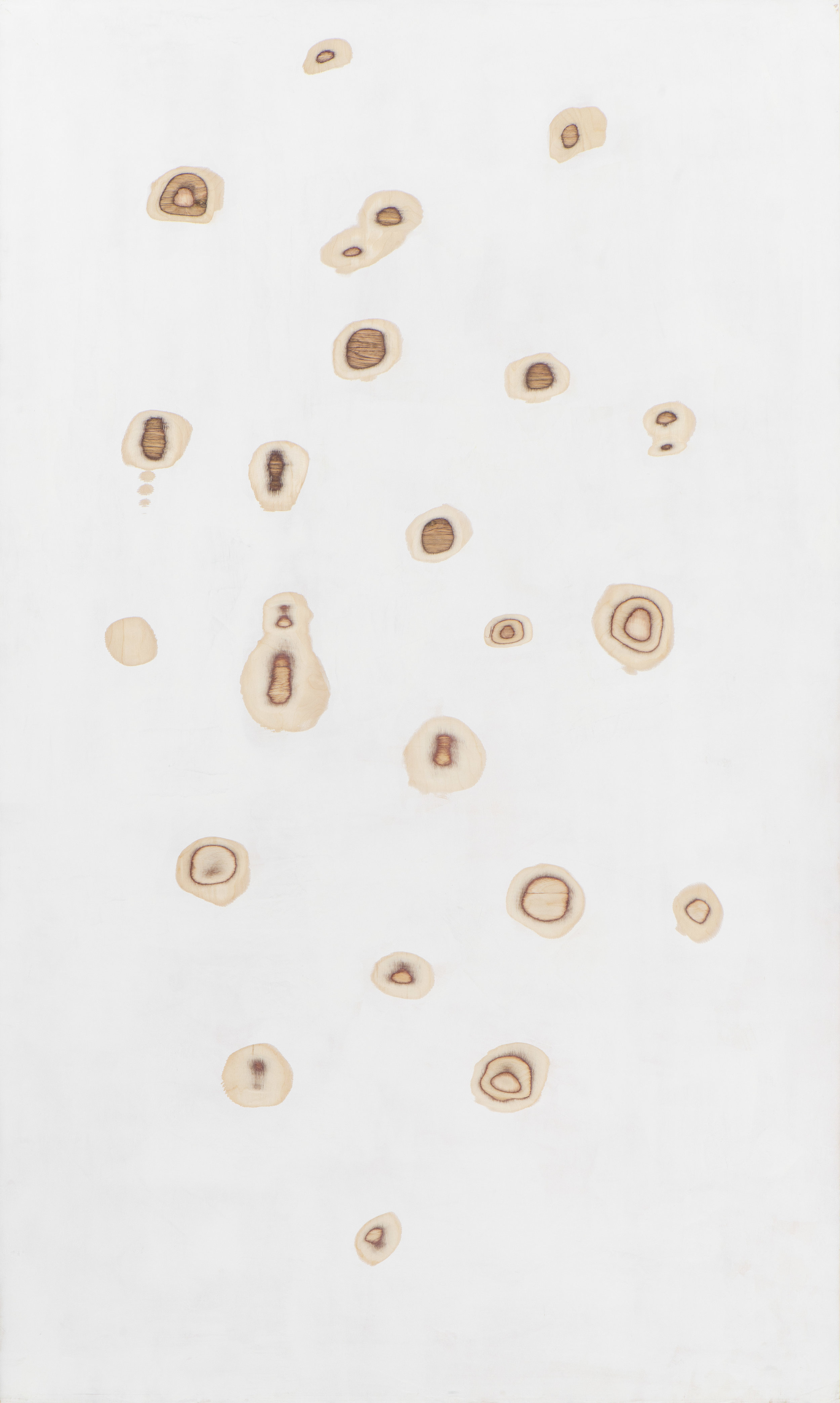 Kaspars Zarins, “Symptoms. F“, 2015 