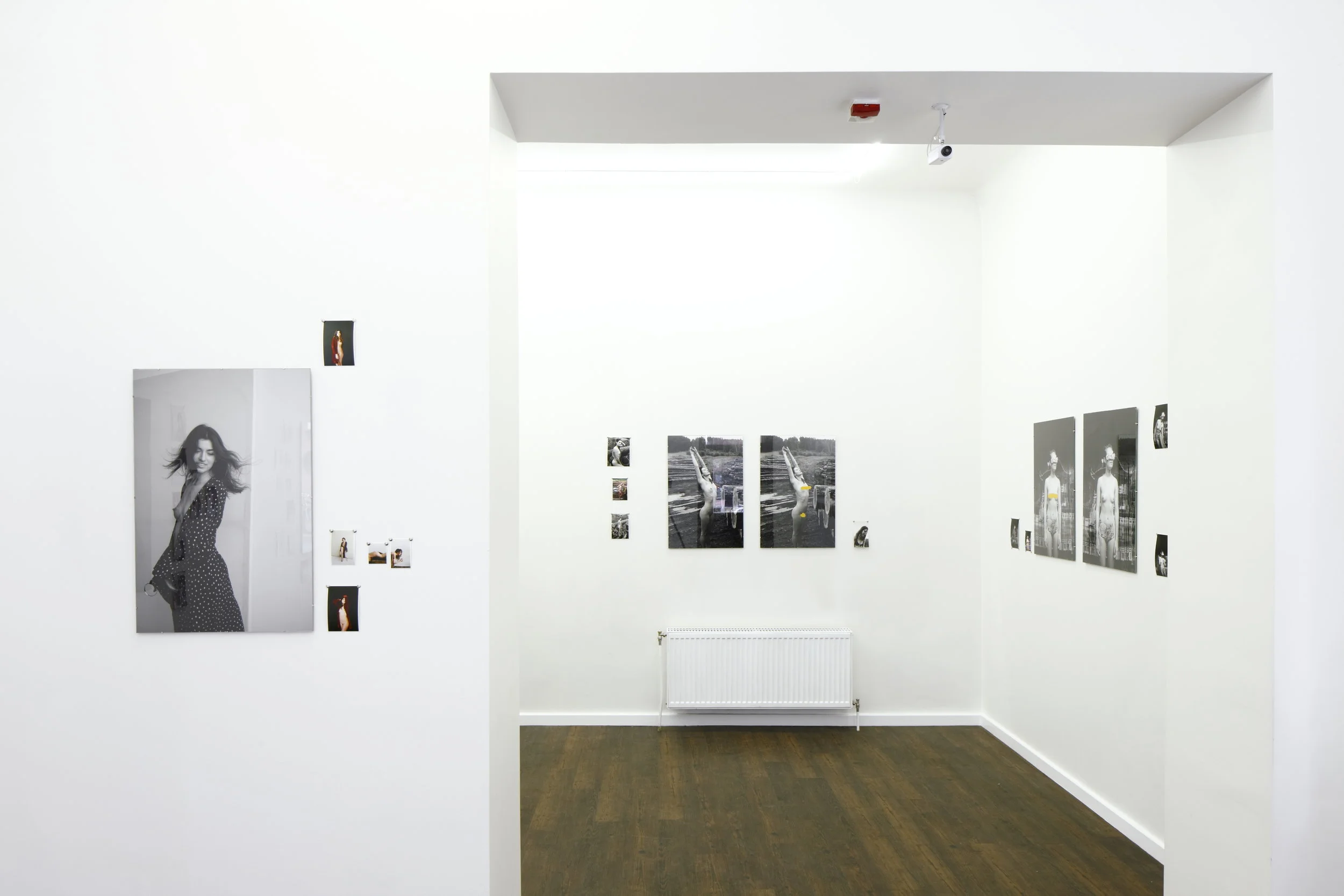 _STA4357_fotoAnsisStarks.JPG