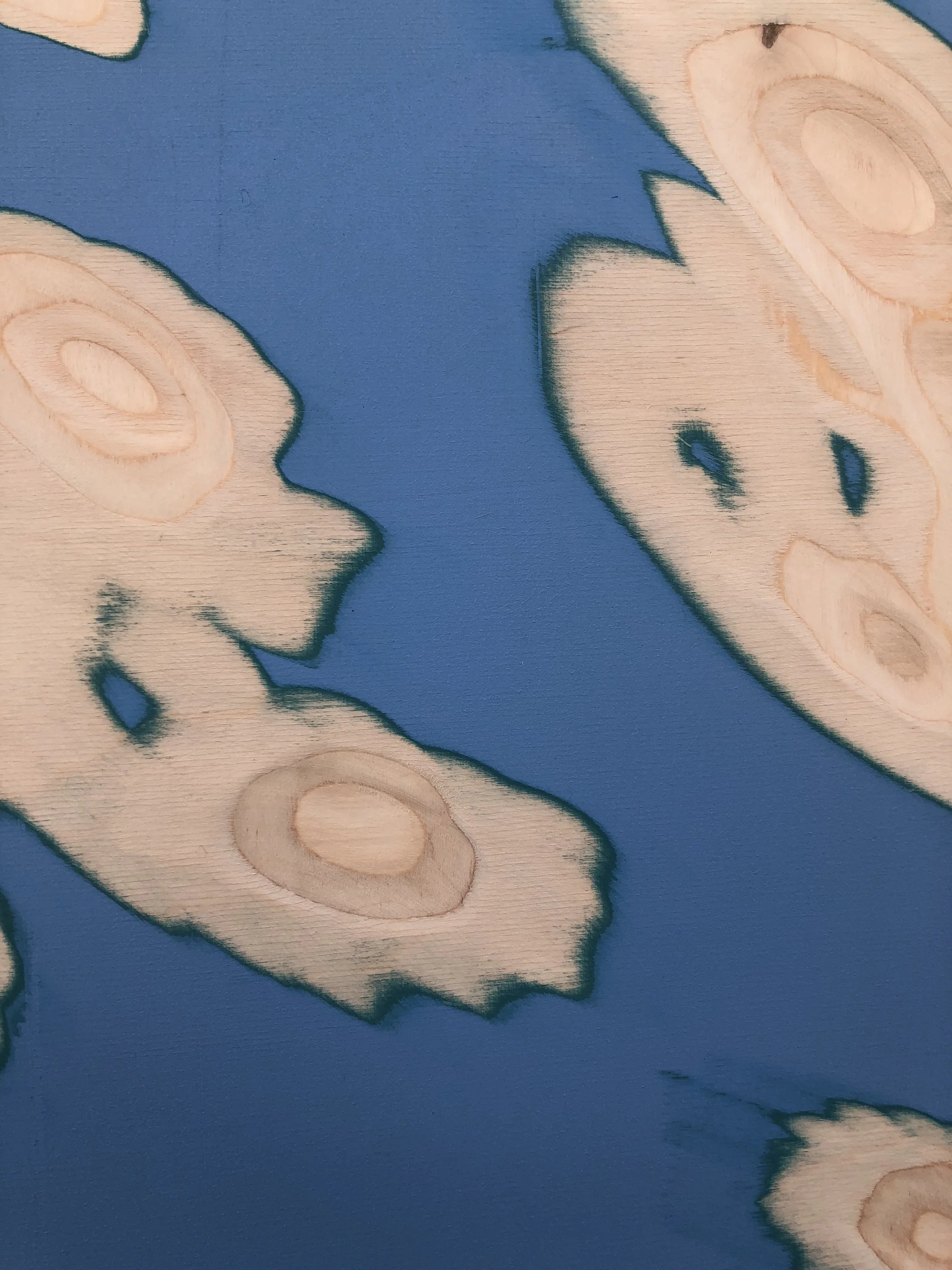  Kaspars Zarins, “That is it“,  2018 