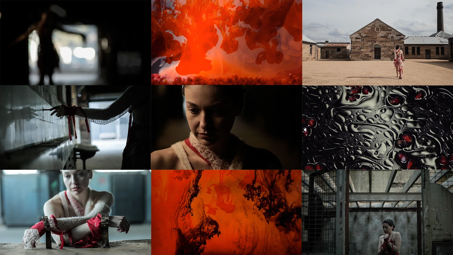 Images by Sissy M. Reyes & Ravi Glasser-Vora
