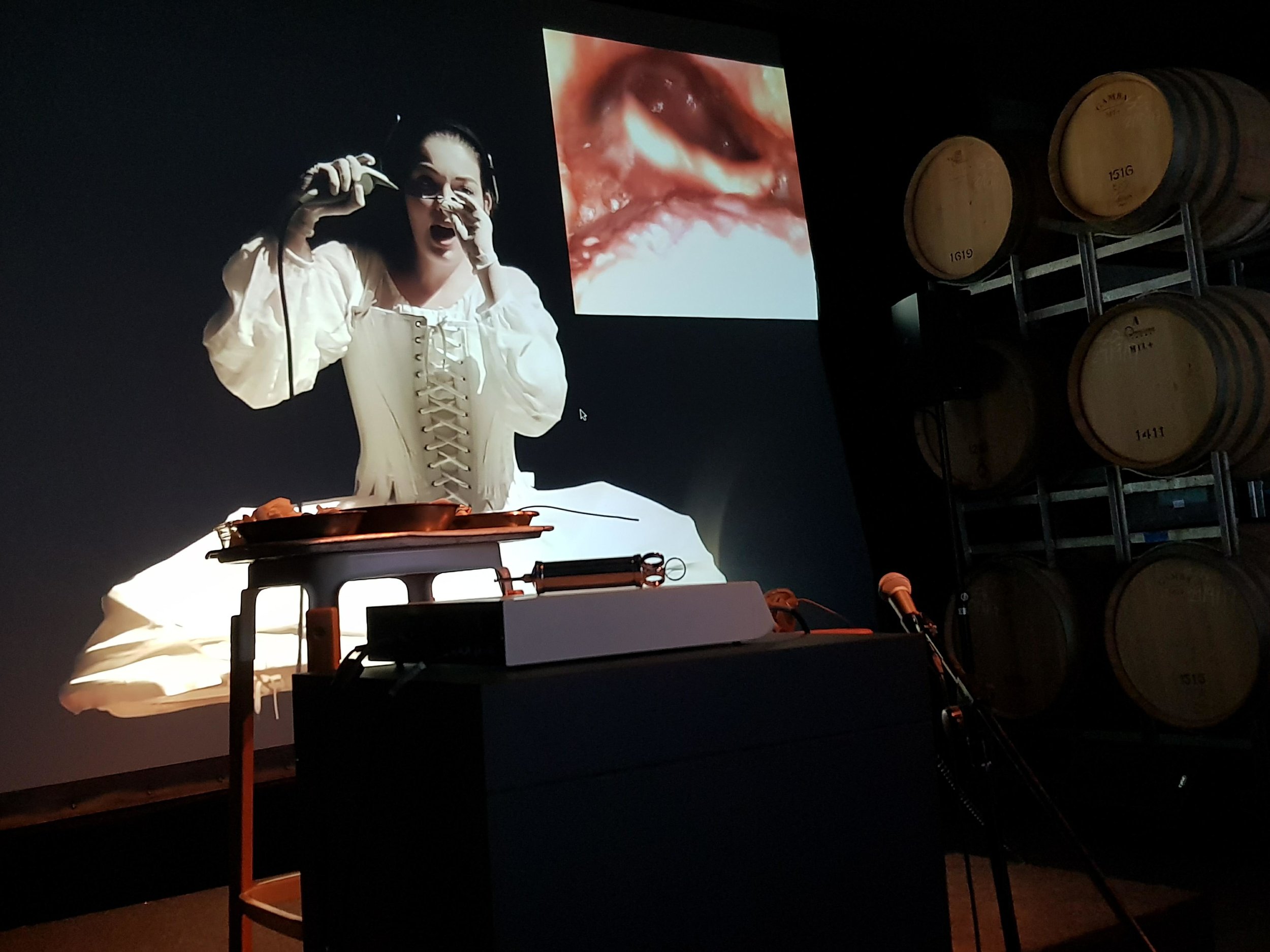 Vocal Womb Installation. Image by Julia Drouhin. 