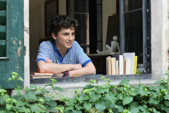 05-call-me-by-your-name-2.w710.h473.jpg