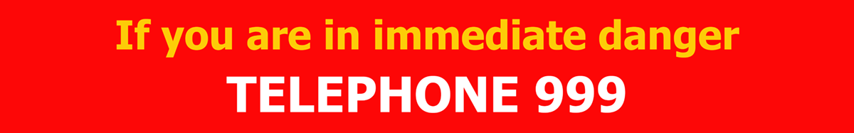 Immediate_Danger_logo.png