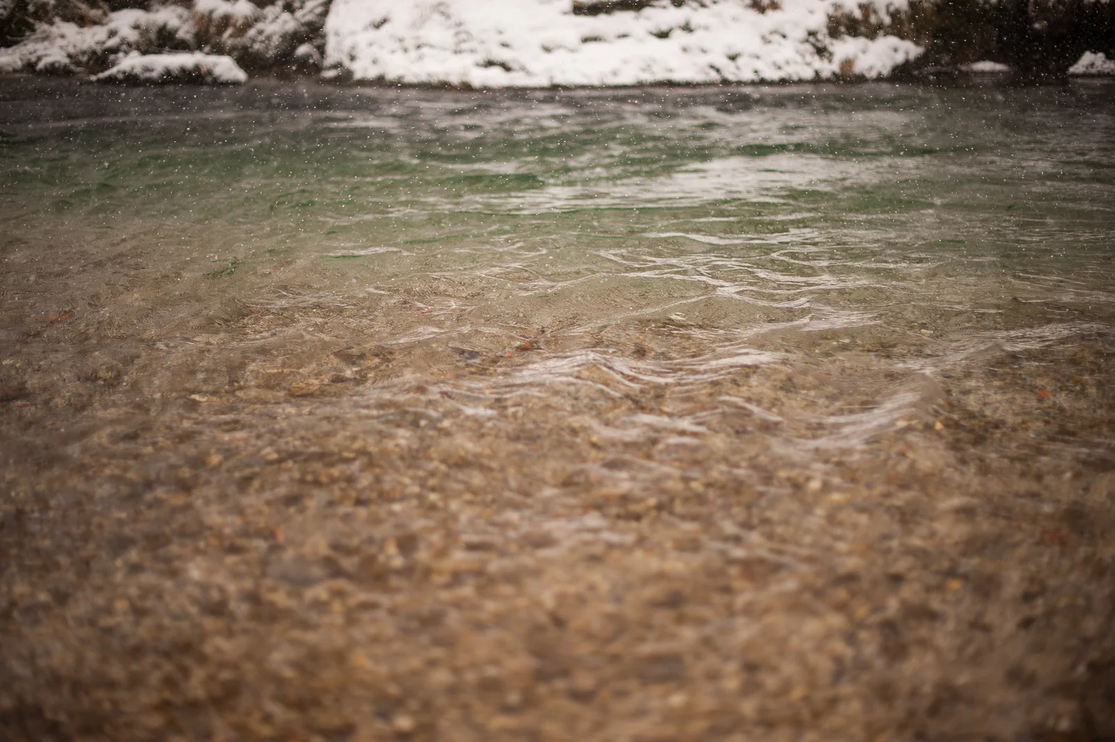 bpp-winterwonderland-008.jpg