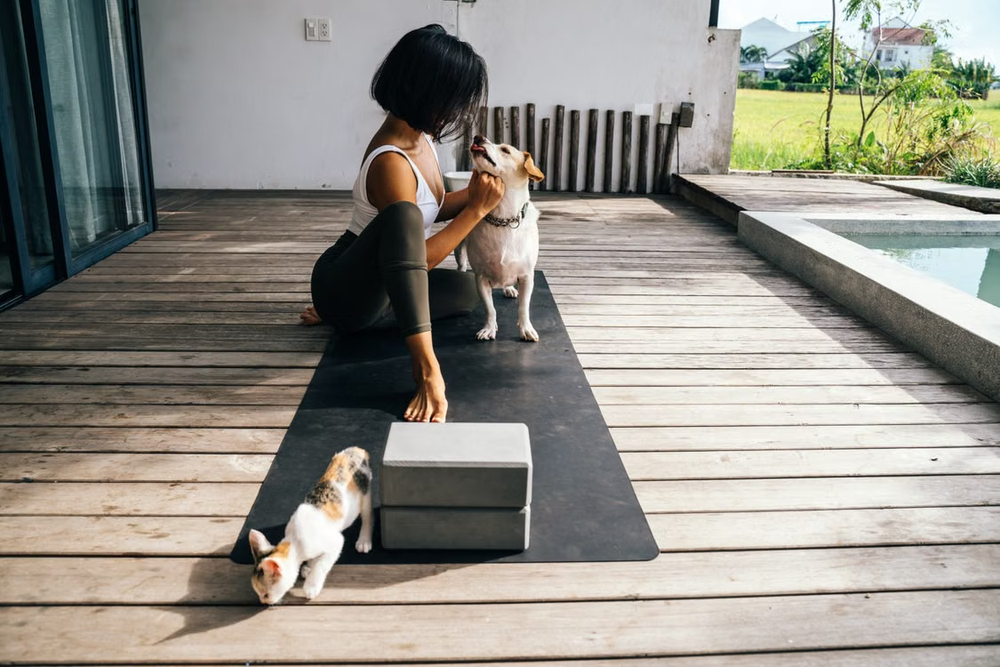 How to Improve Your Wellness Step by Step for Lasting Health and Happiness