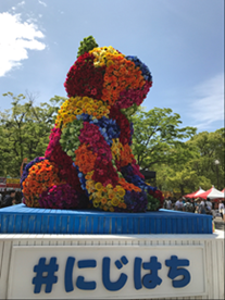 image003.png