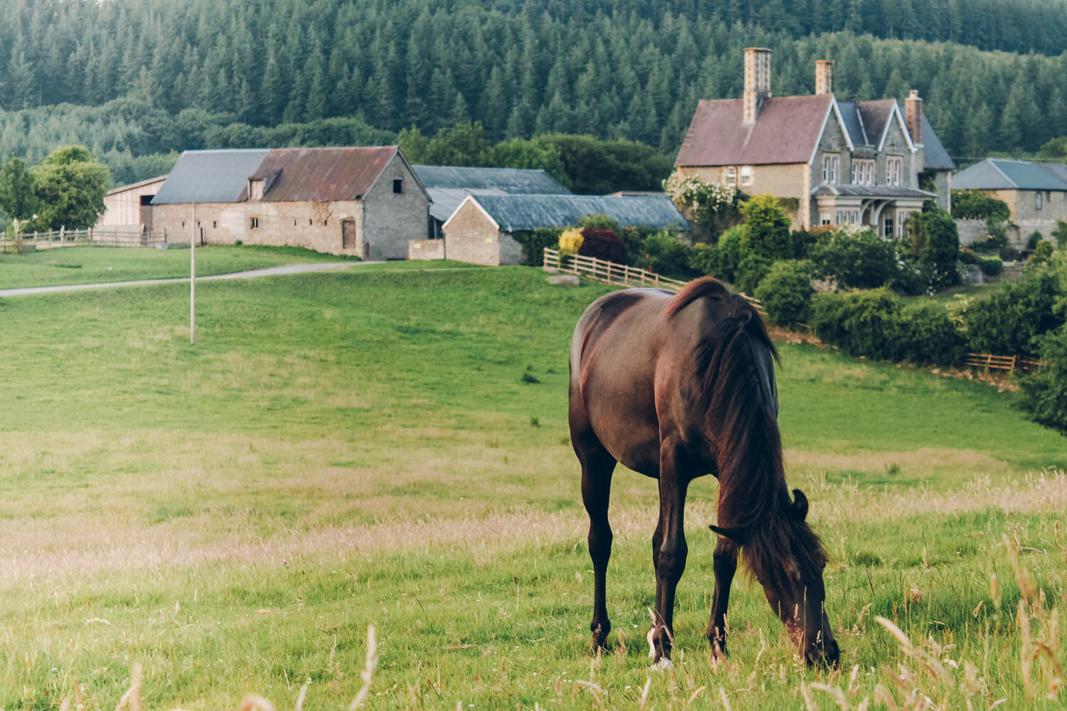 horse and lodge.jpg