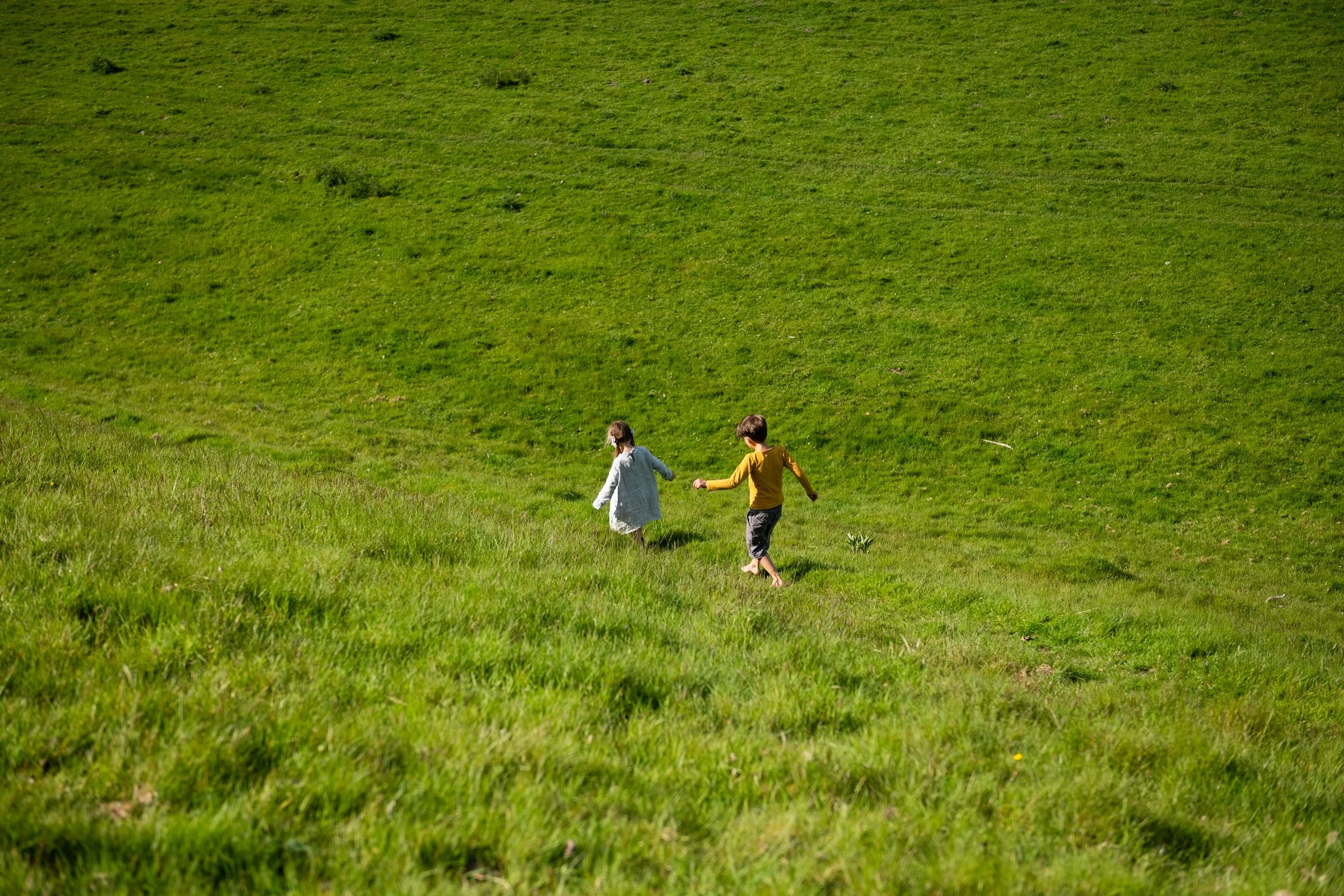 DSC_9717.jpeg