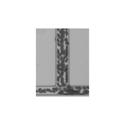 FIG2.jpg