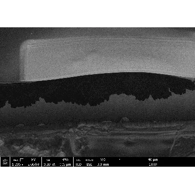 FIG3.jpg