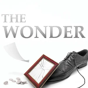 The-Wonder_Thumbnail1.jpg