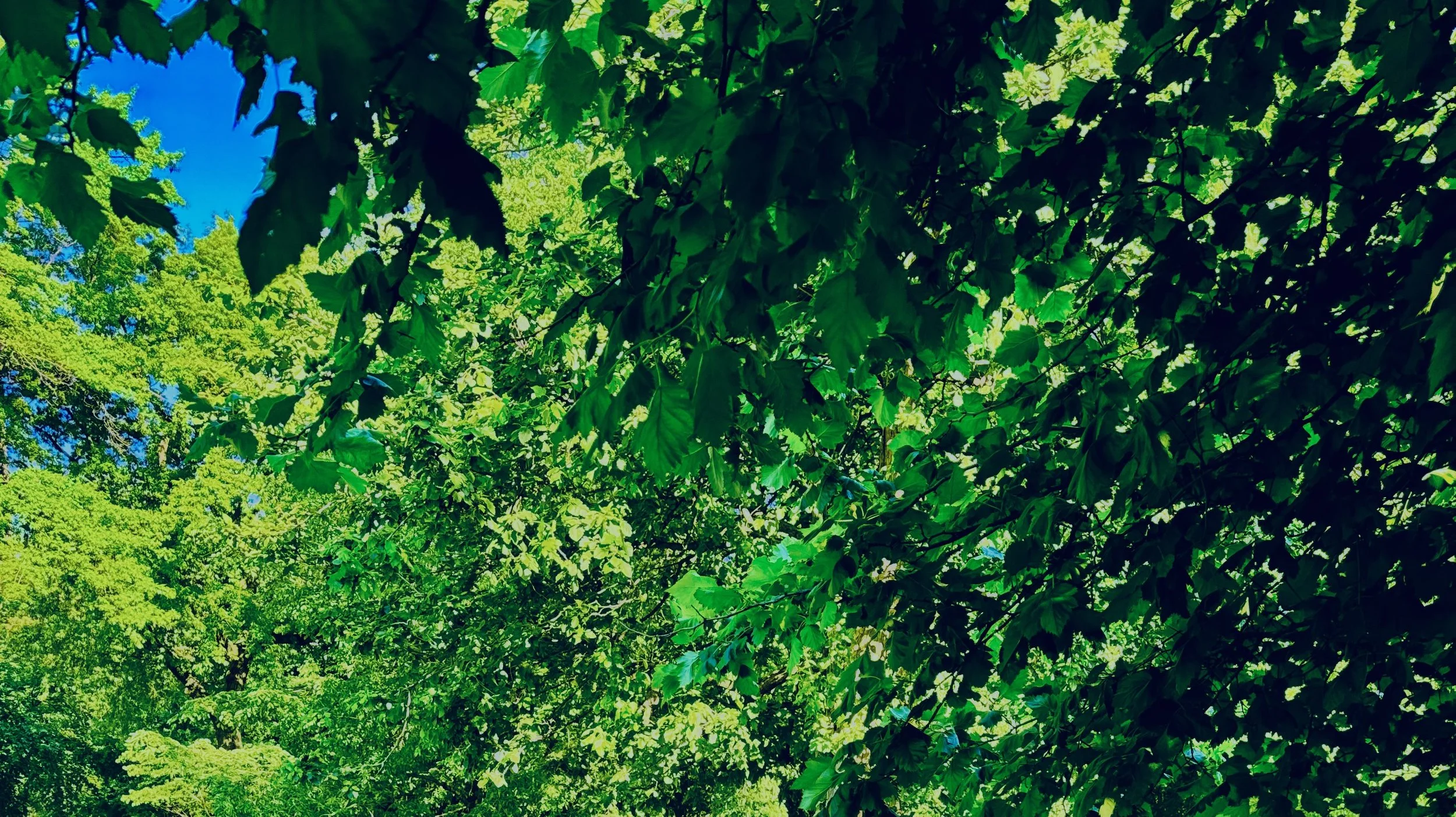 Contact Page Website.jpeg