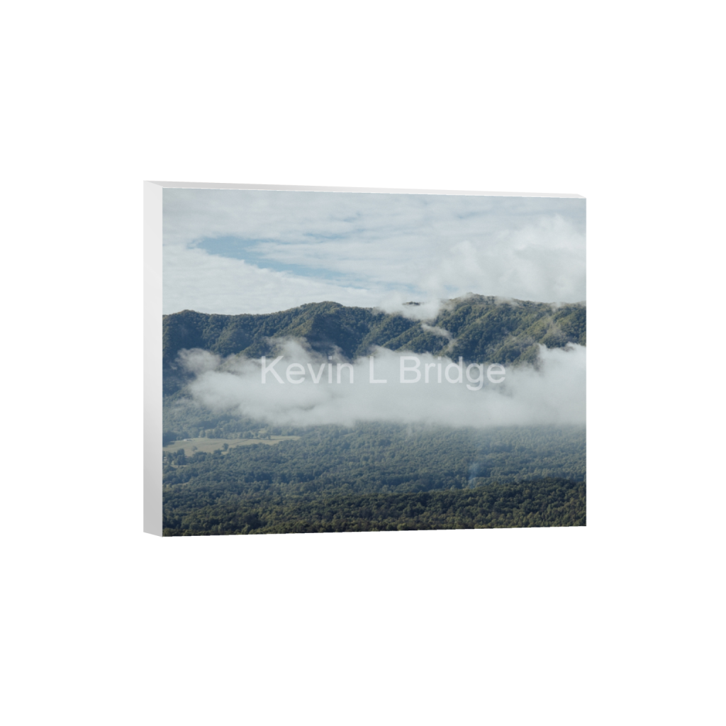 ptq_7_6_560_0_5600_4480_0_false_ffffff_0_0_bf6fcc603f2a362958b617007894fae7.png