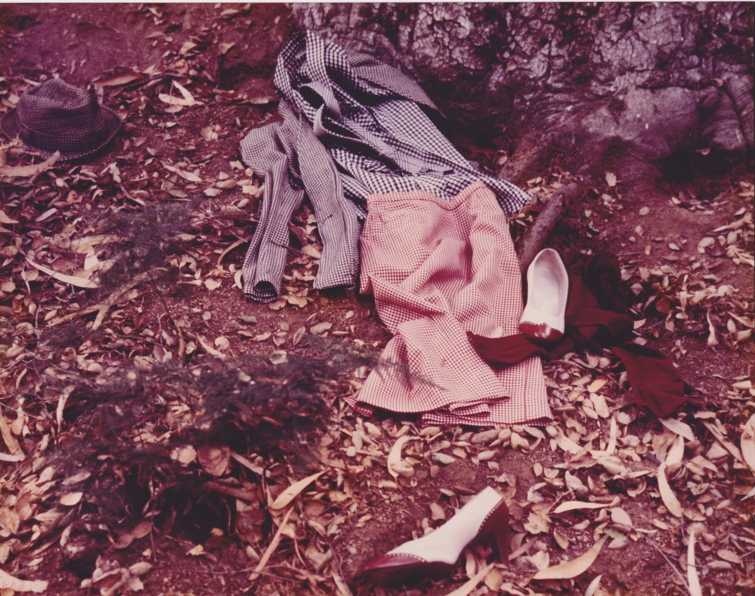 Hildegarde Duane, Nancy Drew Goes to Washington , 1981 Original color photograph