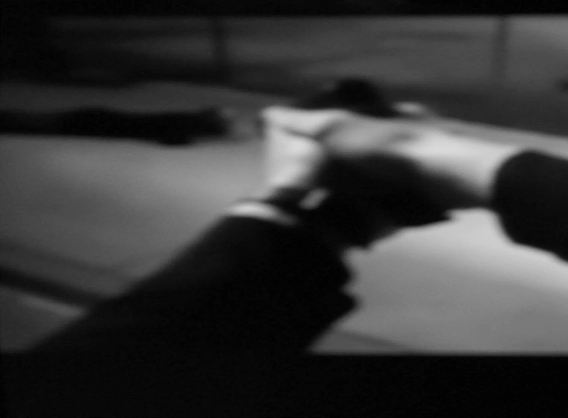 Dennis Reed, #25 Bodycam, 2017