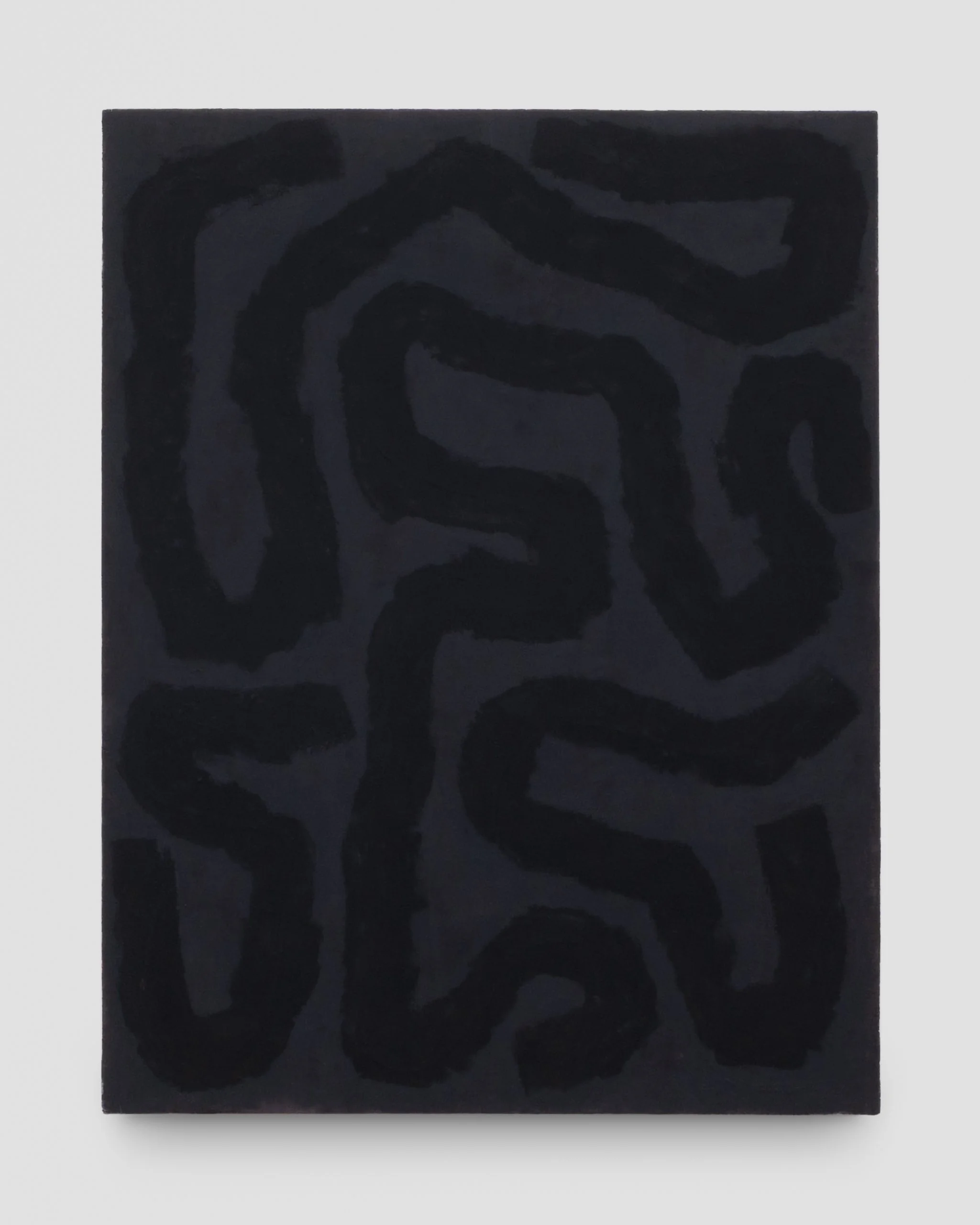   Brian Sharp    Snakes/Plane  &nbsp;2025  oil on linen  &nbsp;37.5 x 29 inches 