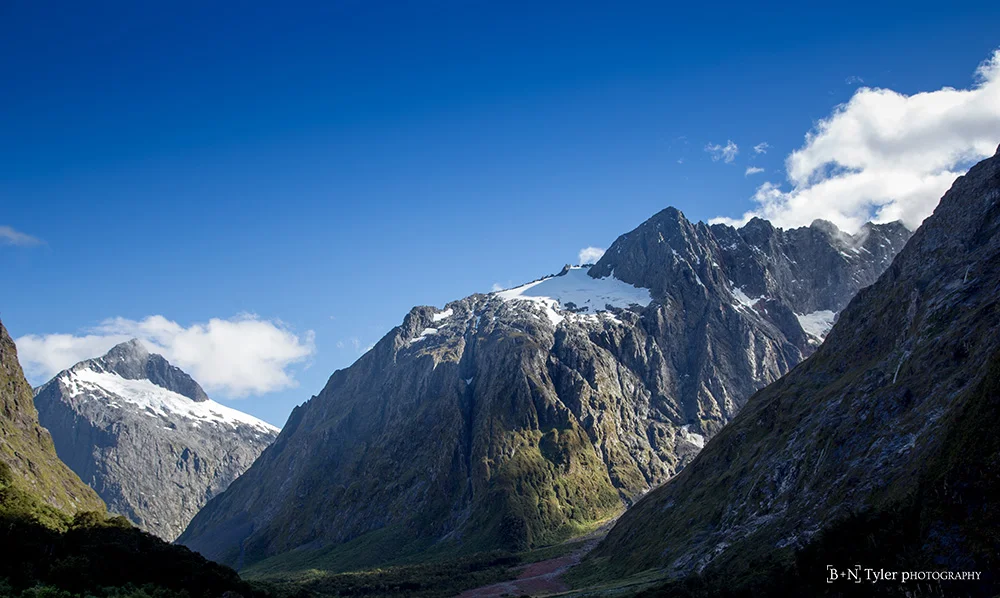 The road to Milford Sound