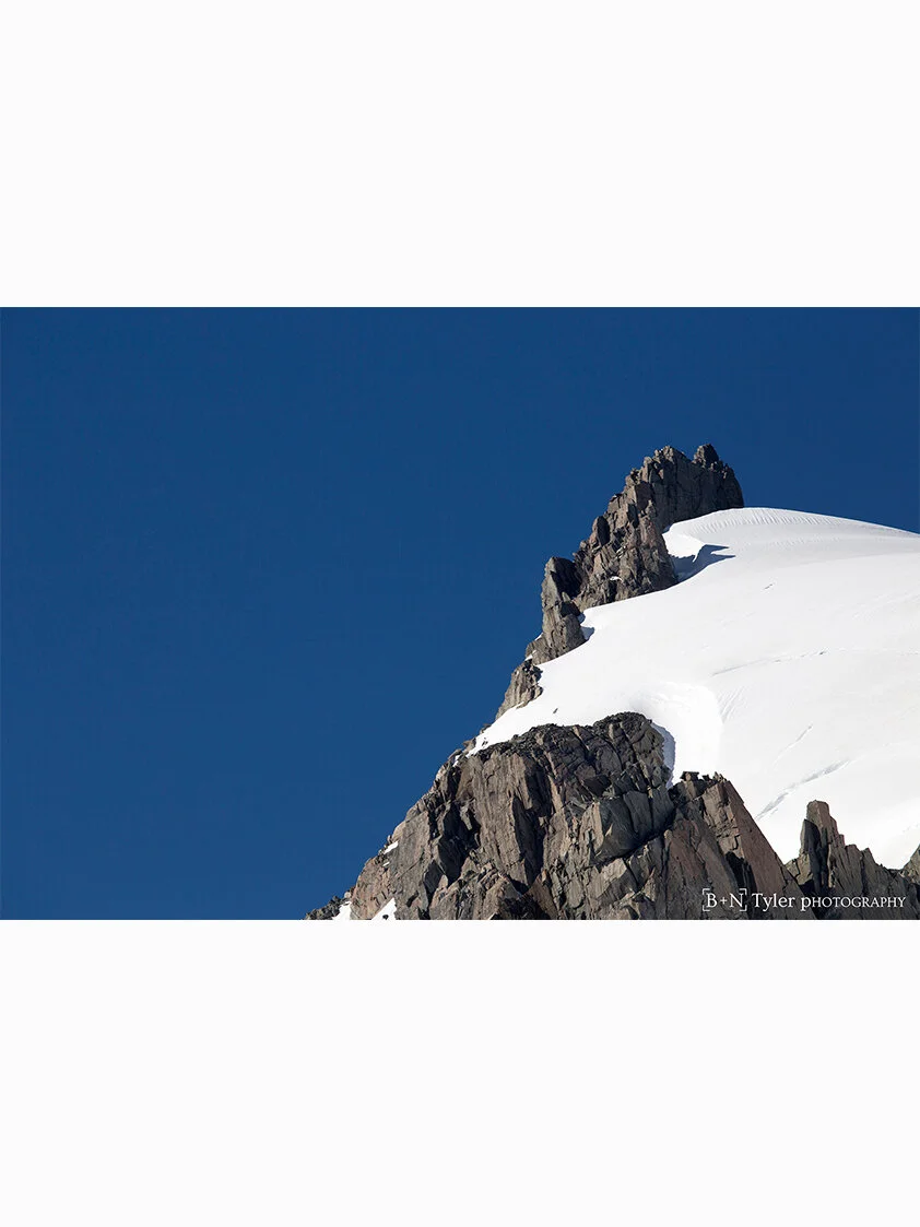 Fox Glacier New Zealand