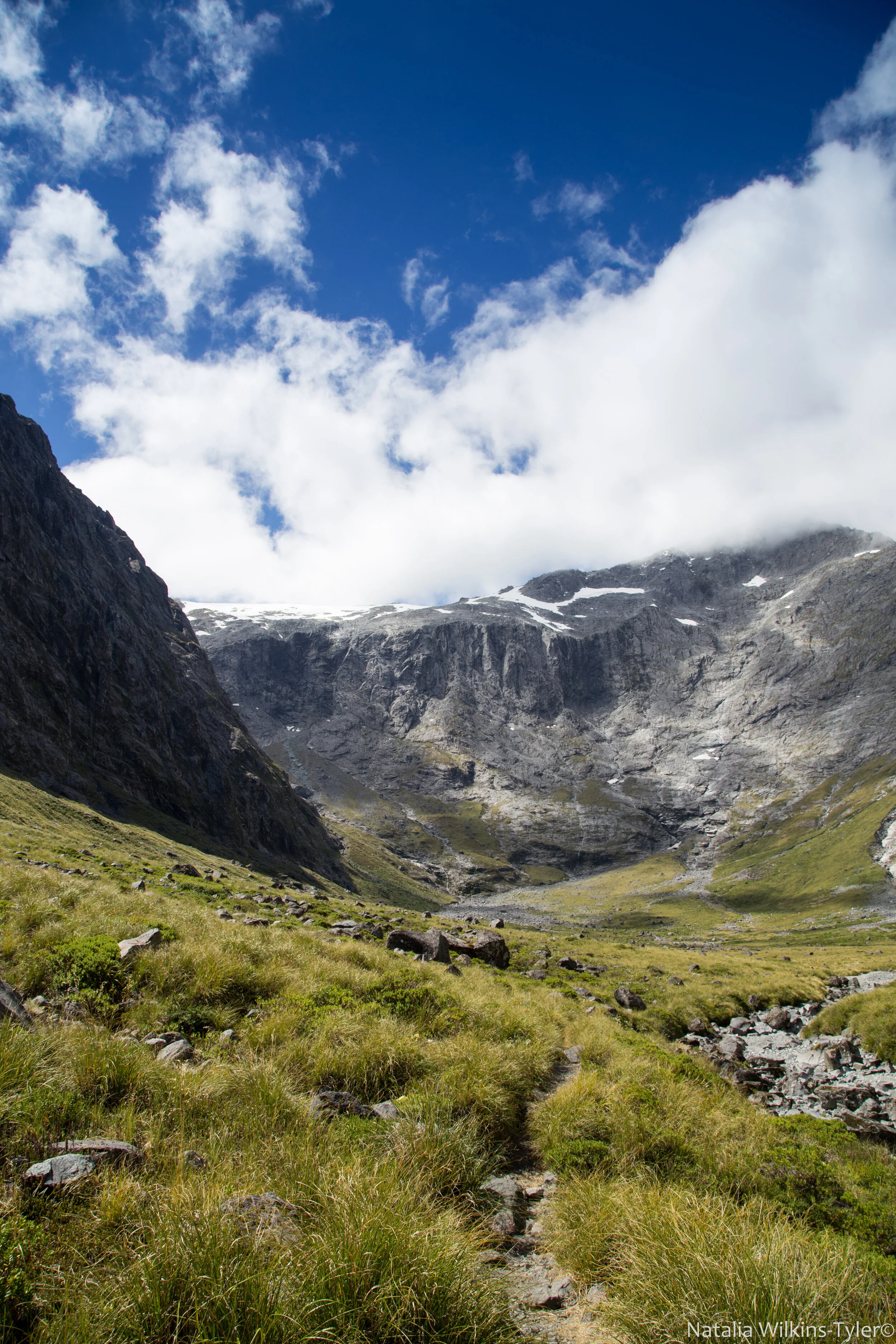 New Zealand Fiordland
