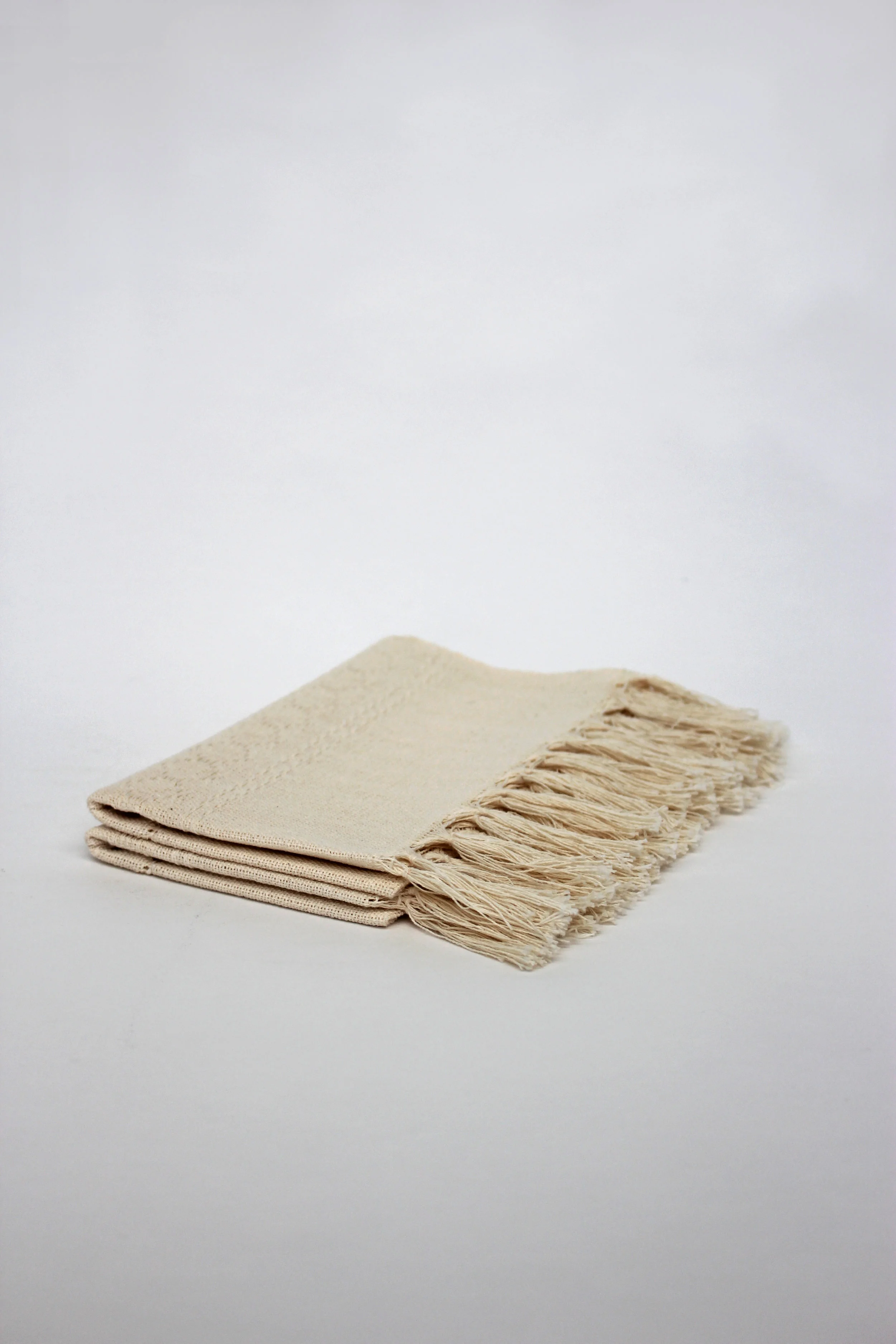 napkin 1.jpg