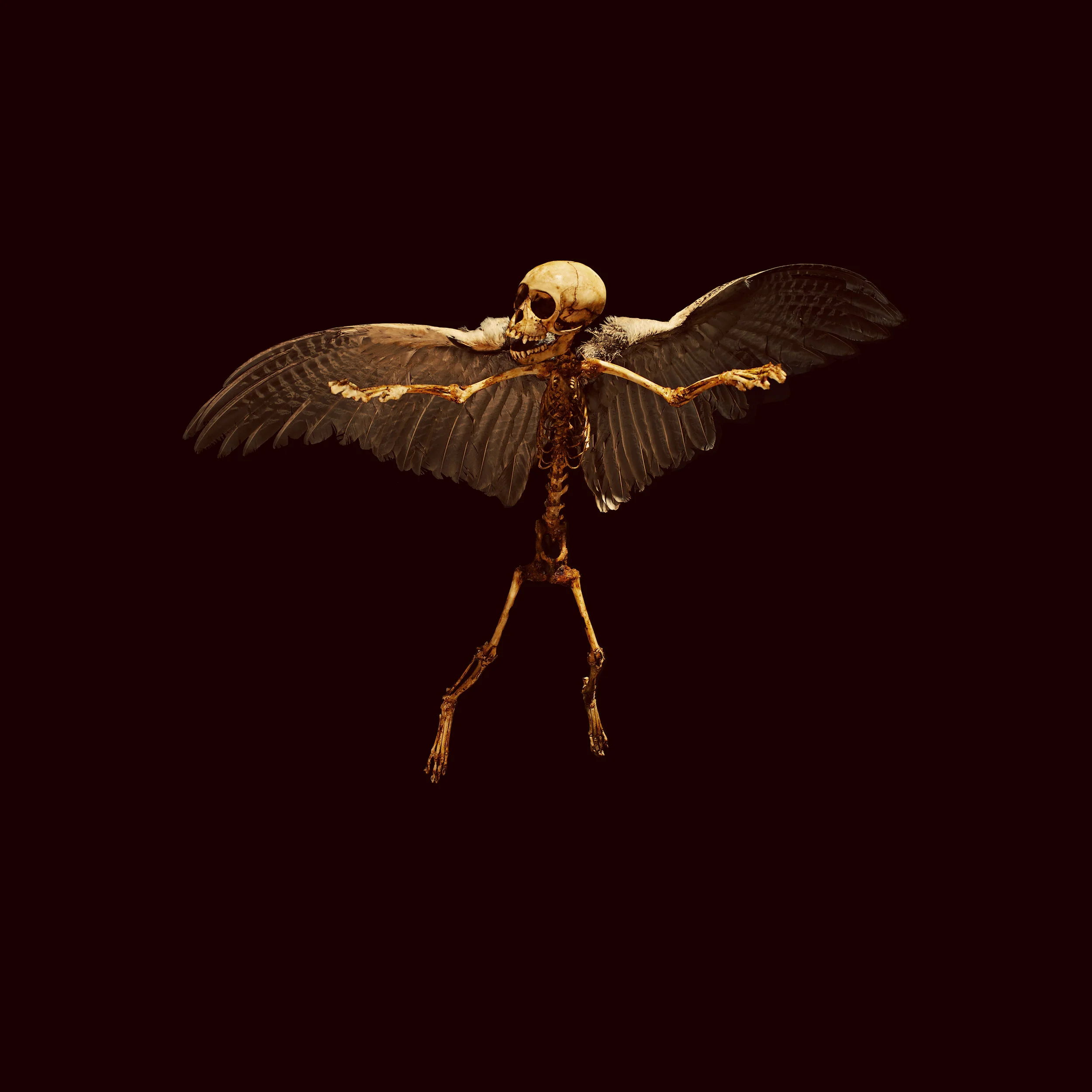 Post Mortem Migration