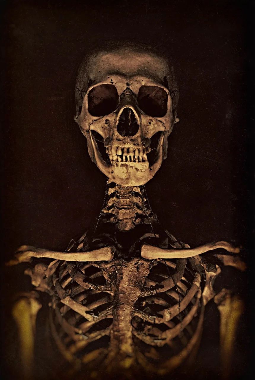 Victorian Era Human Skeleton