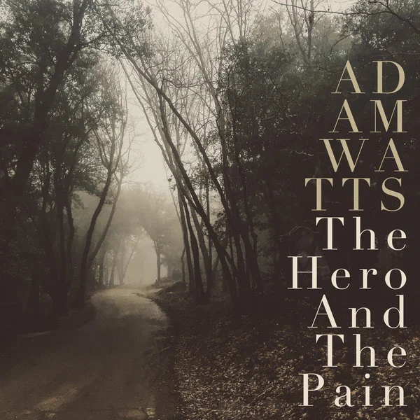 The Hero and the Pain.jpg