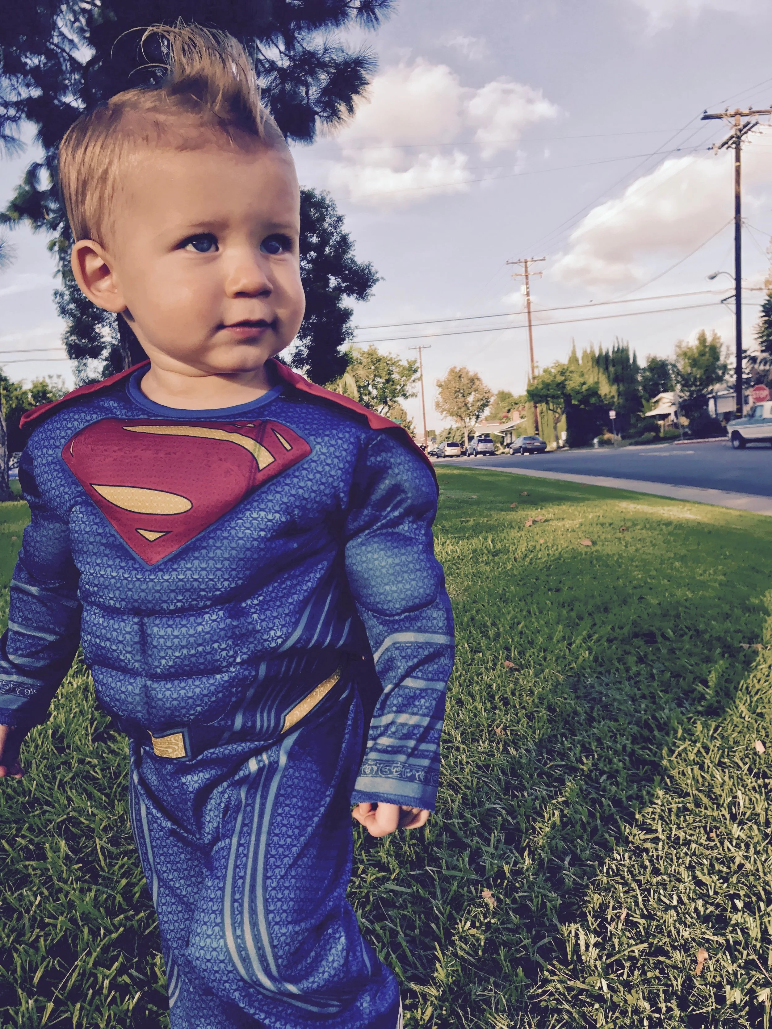 Super rowan.jpg