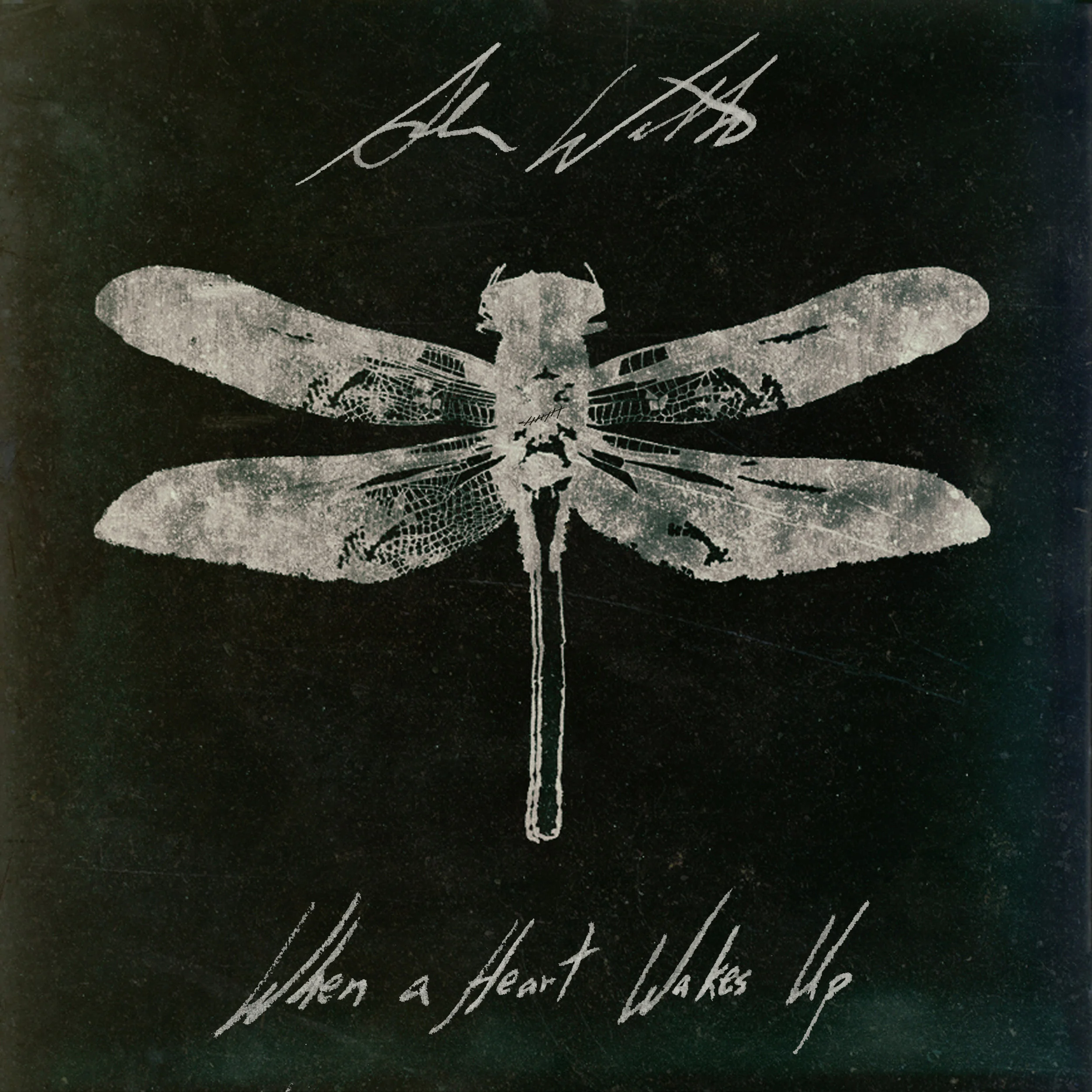 FINAL ALBUM 8-COVER-Dragonfly!!!.jpg