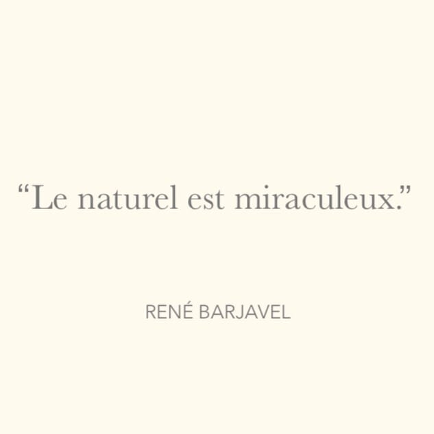 💛🌟💛
.
.
.
.
. 
#barjavel #happiness #confinement #deconfinement #laviedapres #takecareofyourself #prendresoindesoi #slooparis #sloo #massageparis #sopi #soinmassage #pigalle #montmartre #happiness #paris9 #paris #spa #instaquotes #jeudi #bonheur #