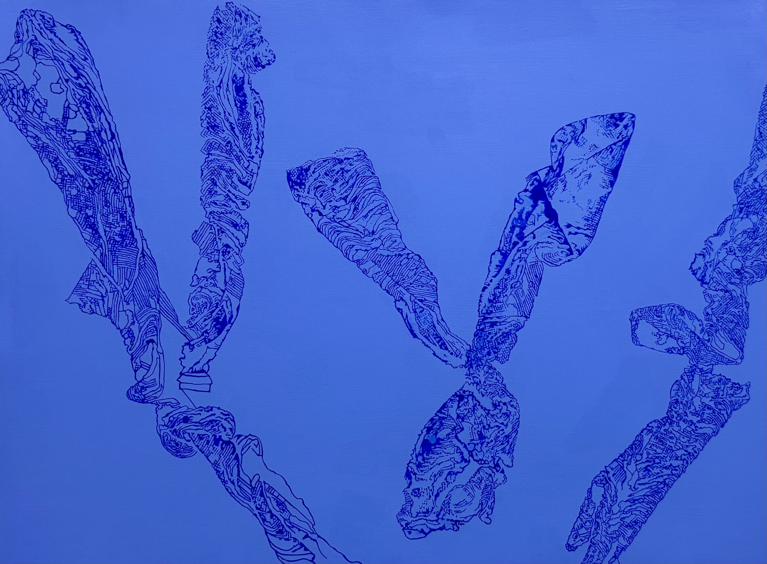  Marine Life  2023  acrylic on paper  22”H x 30”W🟢 