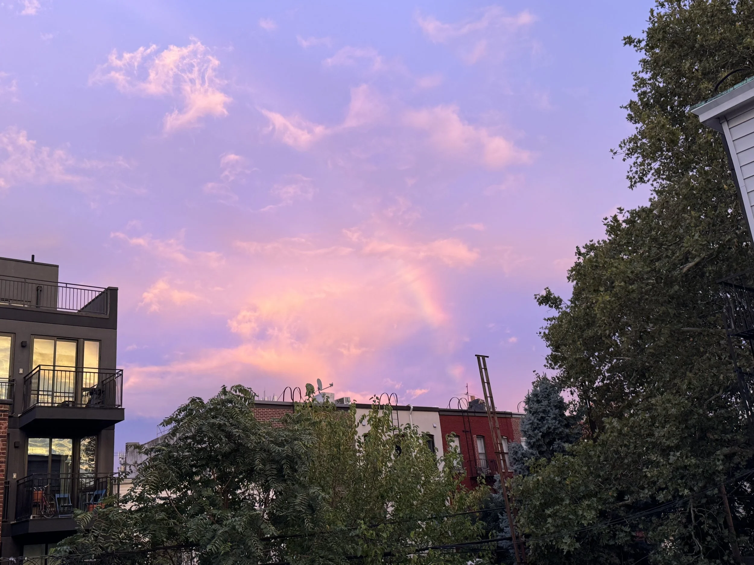 IMG_6243.jpeg