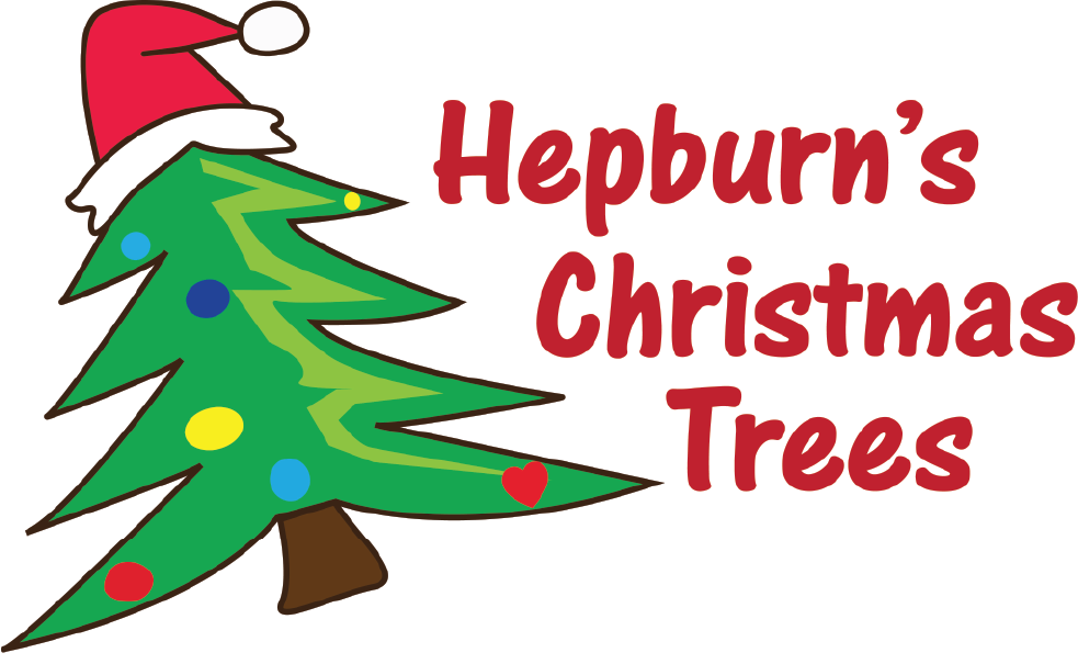 Hepburn's Christmas Trees