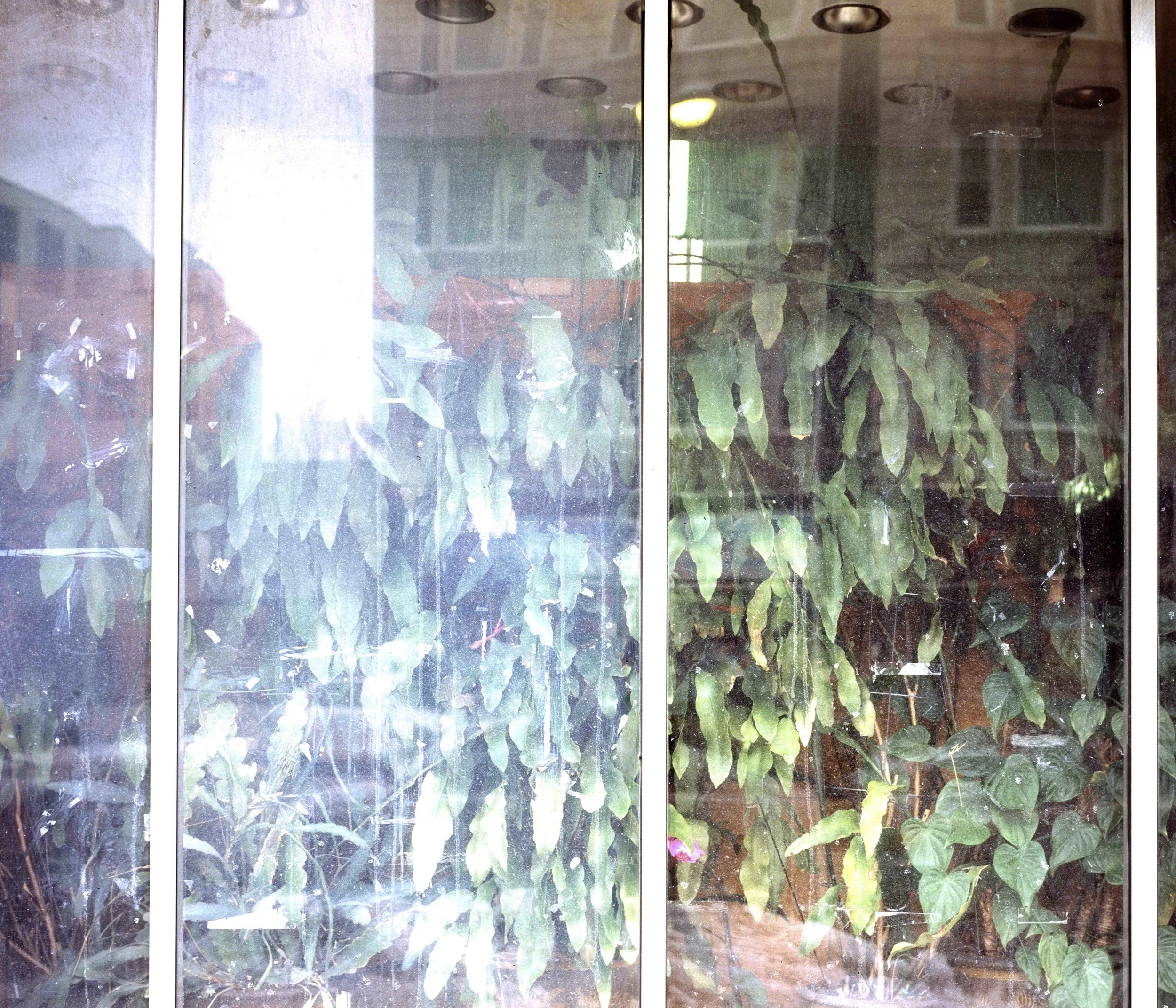 Chicago, 2014.jpg