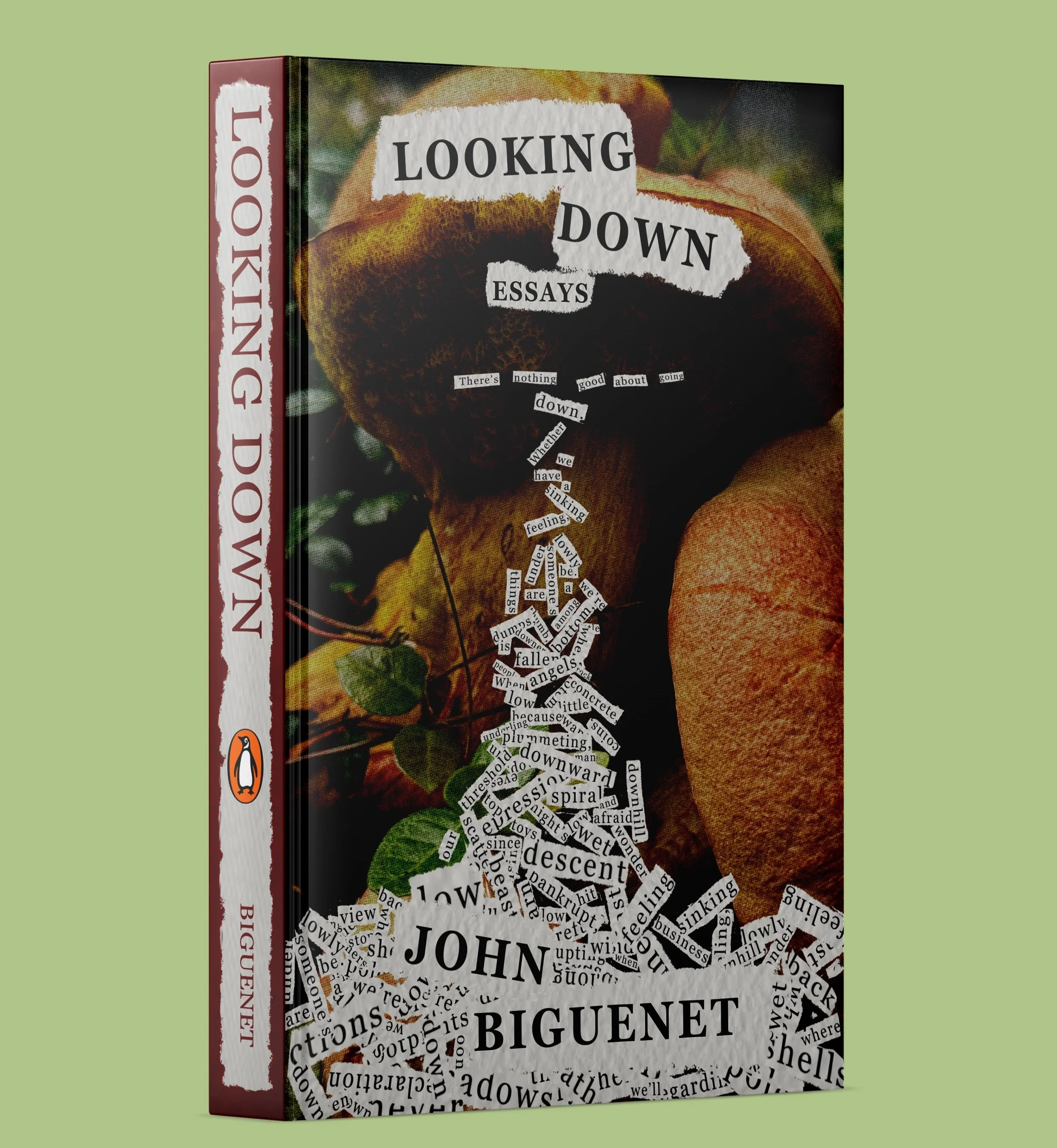 bookcover_cabrera.jpg