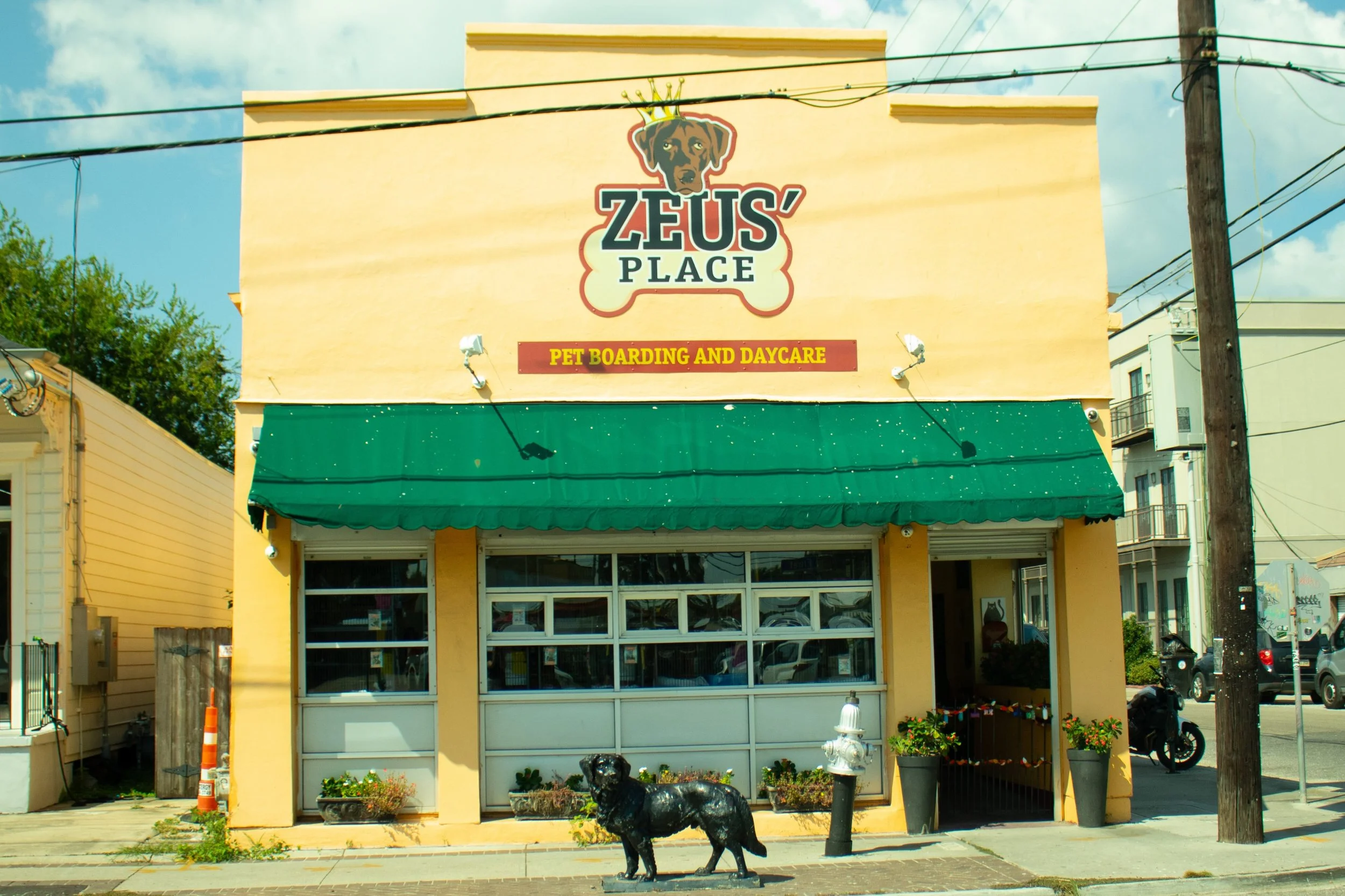 Recently, students in Interactive 1 visited Zeus&rsquo;s Rescues, a local pet shelter, to meet with and interview the owner, Michelle Cheramie. They have been tasked with redesigning Zeus&rsquo; website for clearer navigation and easy upkeep. The Int