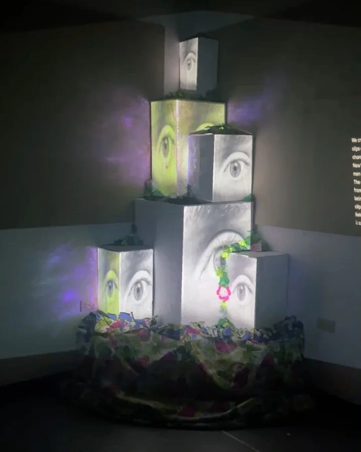 In the Human Centered Design class, Kylie Benesh-Llop, John Zwiers, and U'nique Allen created an experimental projection-mapping piece based on a scene from You on the Moors Now, the Theatre Department's fall production.

#humancentereddesign #projec