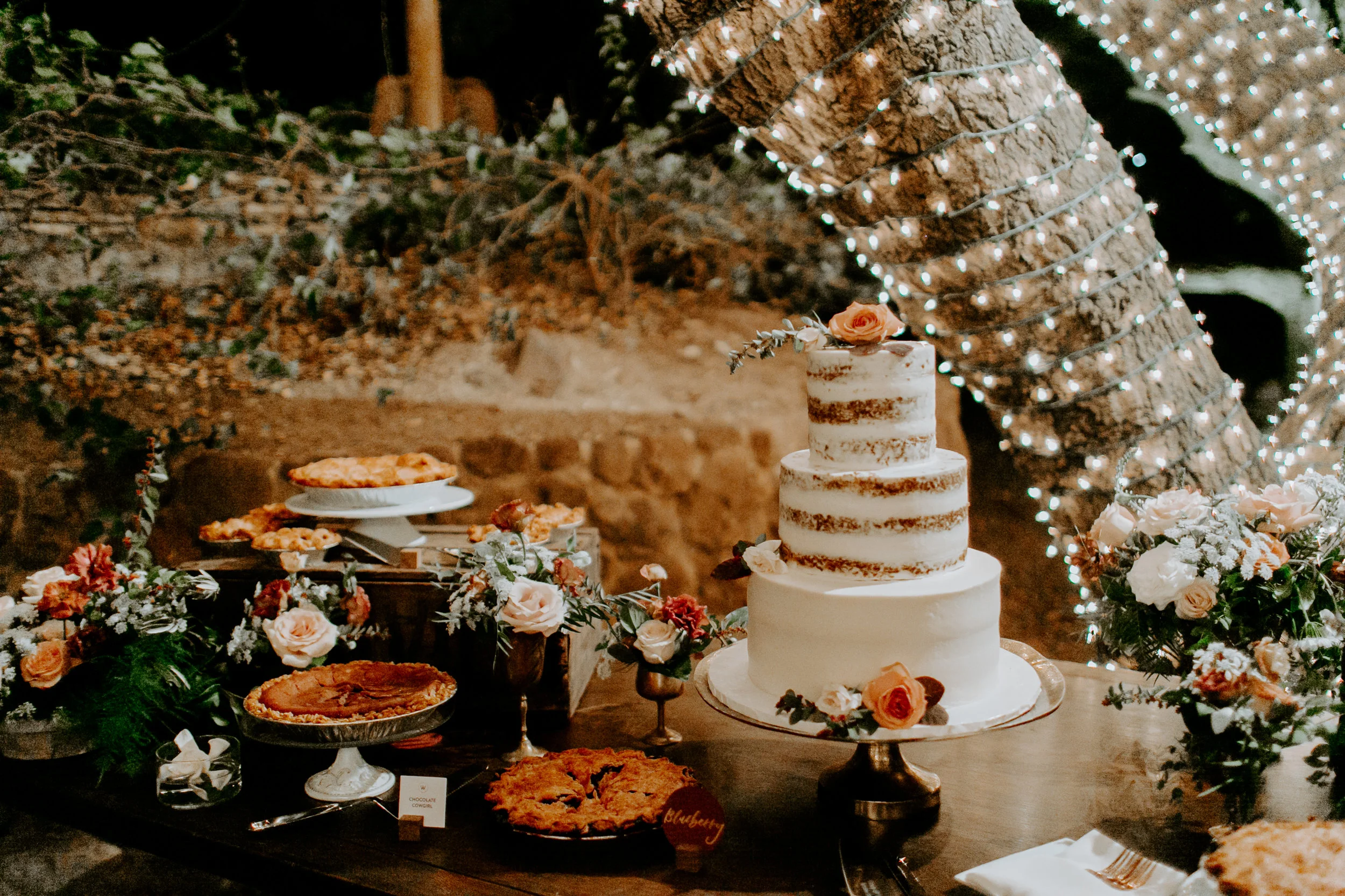 BELISLExDARLING1570 (1).JPG