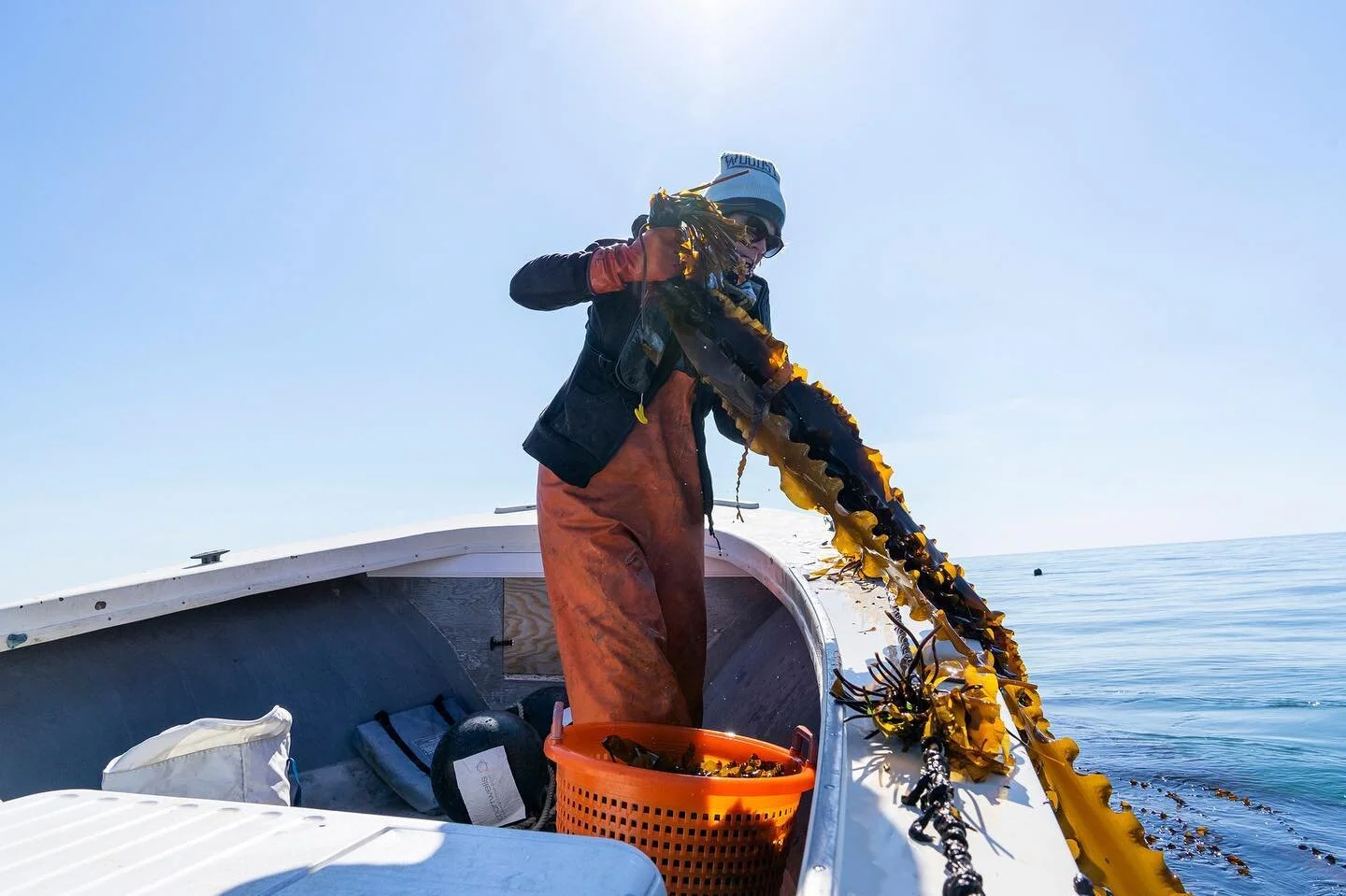 Today's #hersalso inspiration is @stoningtonkelpco! Suzie is a former market development executive turned sugar-kelp farmer. She has always been passionate about the environment and felt there was more she could do to have a positive impact on the pl