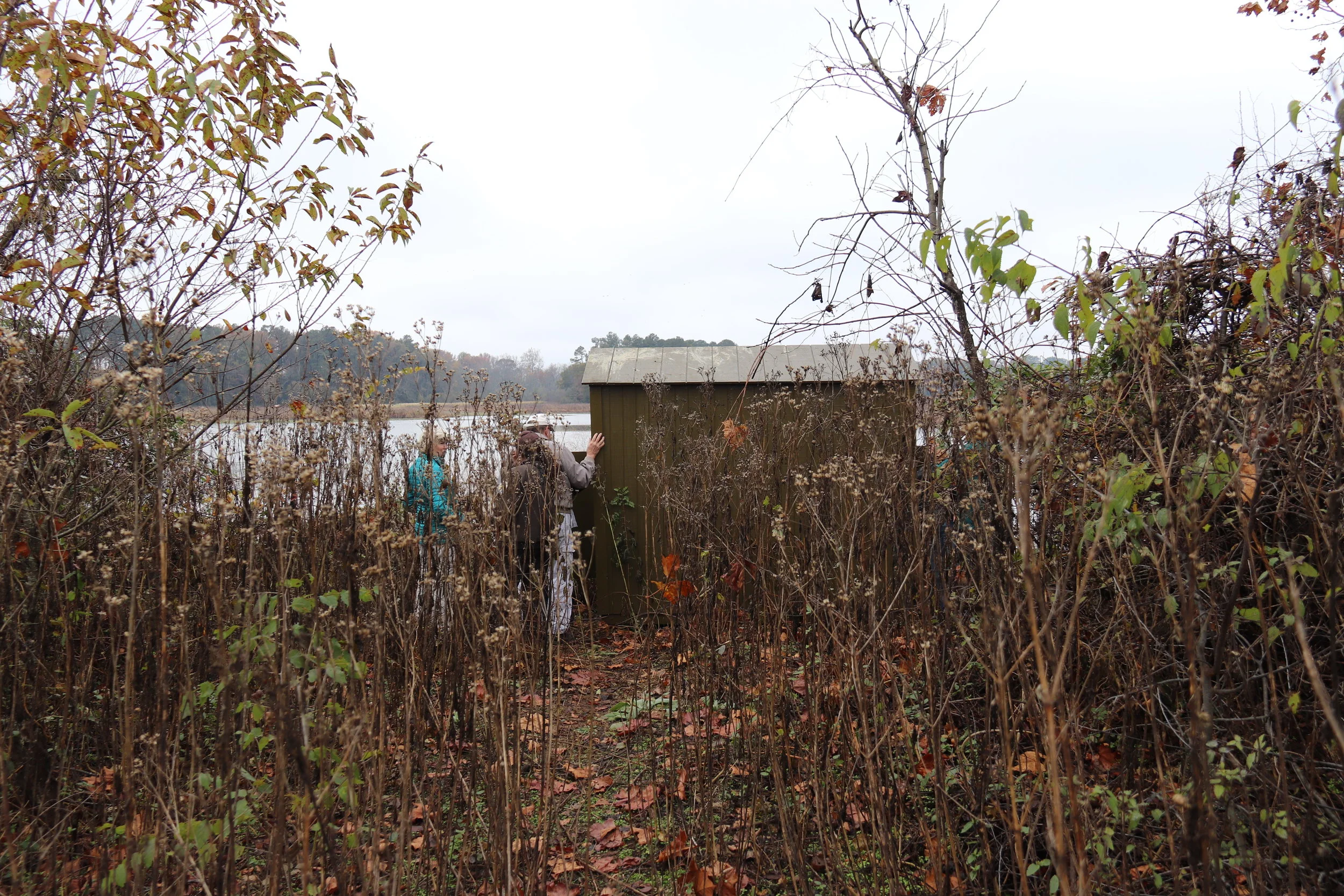 Bird Walk at Kendall Farm in Essex County